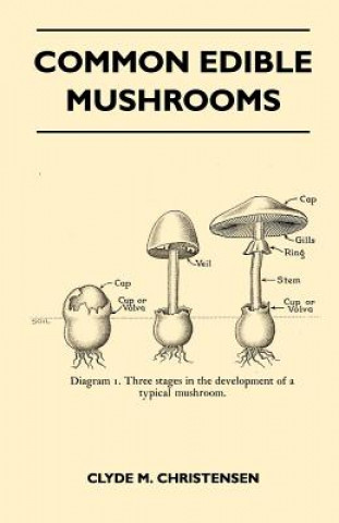 Kniha Common Edible Mushrooms Clyde M. Christensen