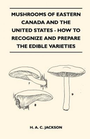 Książka Mushrooms Of Eastern Canada And The United States - How To Recognize And Prepare The Edible Varieties H. A. C. Jackson