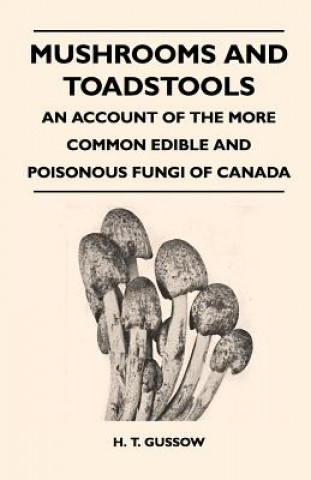 Книга Mushrooms And Toadstools - An Account Of The More Common Edible And Poisonous Fungi Of Canada H. T. Gussow