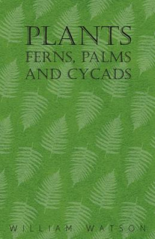 Kniha Plants - Ferns, Palms and Cycads William Watson