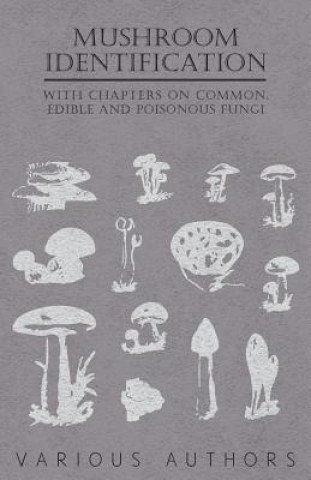 Kniha Mushroom Identification - With Chapters on Common, Edible and Poisonous Fungi Various