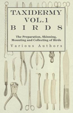 Könyv Taxidermy Vol.1 Birds - The Preparation, Skinning, Mounting and Collecting of Birds Various