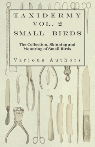 Kniha Taxidermy Vol. 2 Small Birds - The Collection, Skinning and Mounting of Small Birds Various