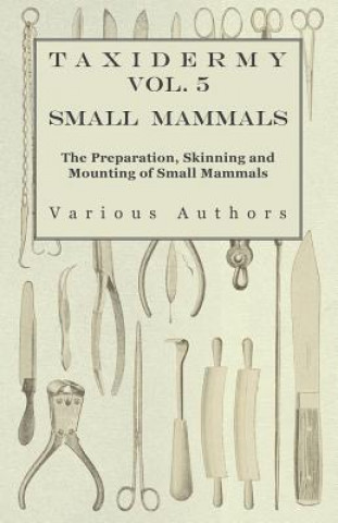 Book Taxidermy Vol. 5 Small Mammals - The Preparation, Skinning and Mounting of Small Mammals Various