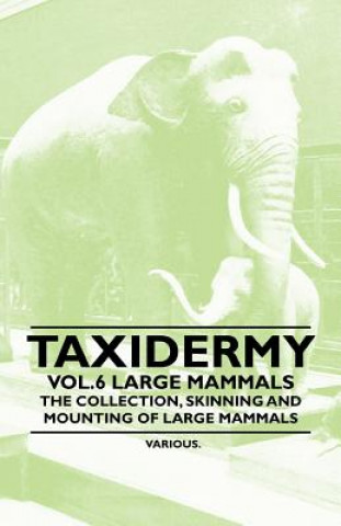 Kniha Taxidermy Vol.6 Large Mammals - The Collection, Skinning and Mounting of Large Mammals Various