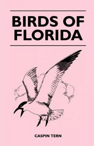 Книга Birds of Florida Caspin Tern