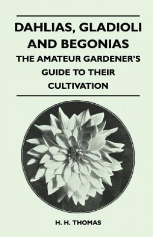 Kniha Dahlias, Gladioli and Begonias - The Amateur Gardener's Guide to Their Cultivation H. H. Thomas
