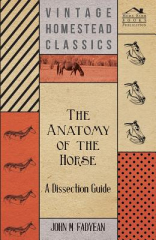 Carte The Anatomy of the Horse - A Dissection Guide John M'Fadyean