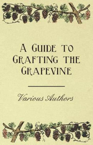 Carte A Guide to Grafting the Grapevine Various