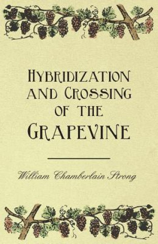 Book Hybridization and Crossing of the Grapevine William Chamberlain Strong