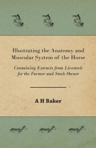 Kniha Illustrating the Anatomy and Muscular System of the Horse - Containing Extracts from Livestock for the Farmer and Stock Owner A. H. Baker