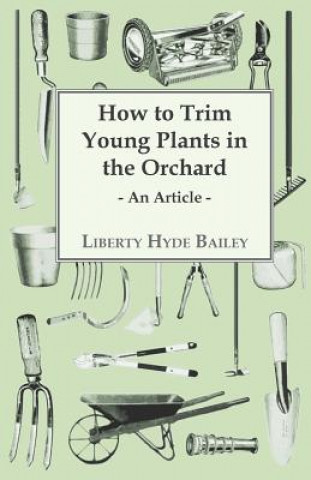 Carte How to Trim Young Plants in the Orchard - An Article L. H. Bailey