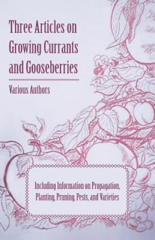 Kniha Three Articles on Growing Currants and Gooseberries - Including Information on Propagation, Planting, Pruning, Pests, Varieties Various