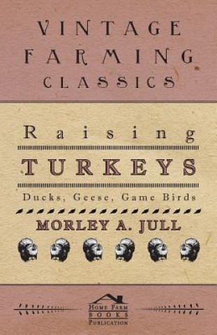 Kniha Raising Turkeys - Ducks, Geese, Game Birds Morley A. Jull