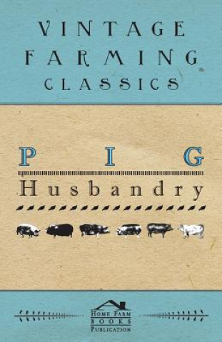 Kniha Pig Husbandry Anon