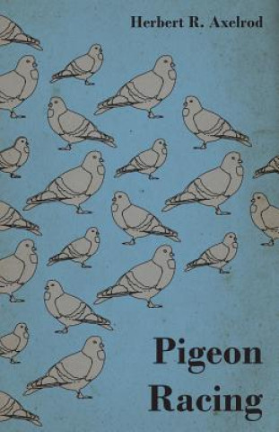 Kniha Pigeon Racing Herbert R. Axelrod