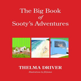 Carte Big Book of Sooty's Adventures Illustrator Jejames