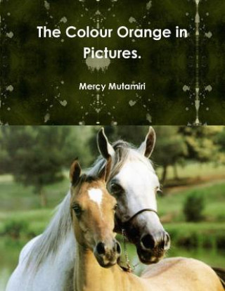 Book Colour Orange in Pictures. Mercy Mutamiri