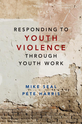 Kniha Responding to Youth Violence through Youth Work Mike Seal