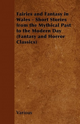 Knjiga Fairies and Fantasy in Wales - Short Stories from the Mythical Past to the Modern Day (Fantasy and Horror Classics) Various