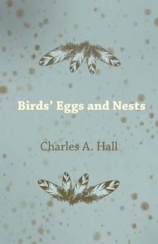 Libro Birds' Eggs and Nests Charles A. Hall