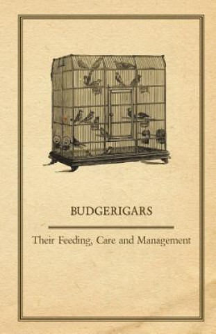 Buch Budgerigars - Their Feeding, Care and Management Anon