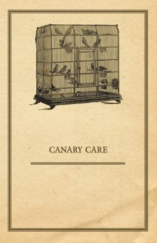 Carte Canary Care Anon