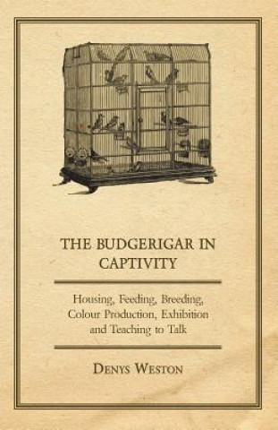 Carte Budgerigar in Captivity - Housing, Feeding, Breeding, Colour Production, Exhibition and Teaching to Talk Denys Weston