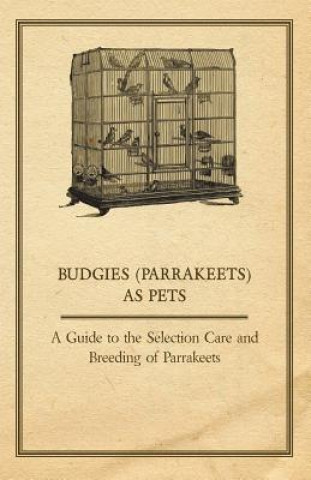 Kniha Budgies (Parrakeets) as Pets - A Guide to the Selection Care and Breeding of Parrakeets Anon