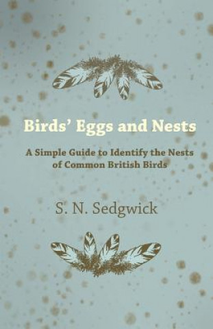 Carte Birds' Eggs and Nests - A Simple Guide to Identify the Nests of Common British Birds S. N. Sedgwick