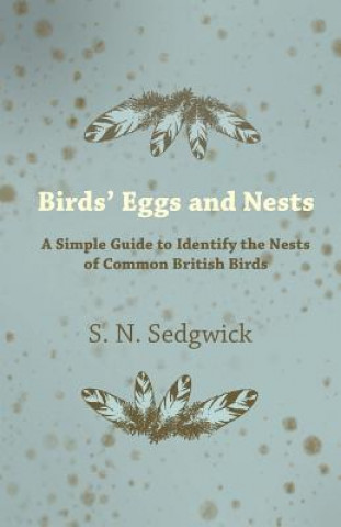 Könyv Birds' Eggs and Nests - A Simple Guide to Identify the Nests of Common British Birds S. N. Sedgwick