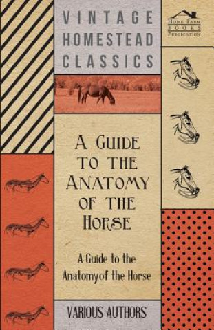 Książka A   Guide to the Anatomy of the Horse - A Collection of Historical Articles on the Skeleton, Hoof, Teeth, Locomotion and Other Aspects of Equine Anato Various