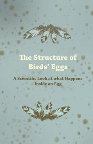 Könyv Structure of Birds Eggs - A Scientific Look at What Happens Inside an Egg Anon