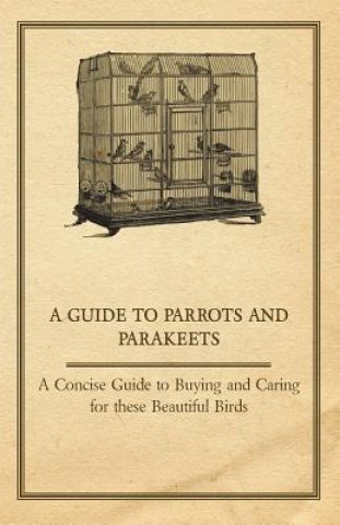 Książka Guide to Parrots and Parakeets - A Concise Guide to Buying and Caring for These Beautiful Birds Anon