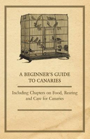 Könyv Beginner's Guide to Canaries - Including Chapters on Food, Rearing and Care for Canaries Anon