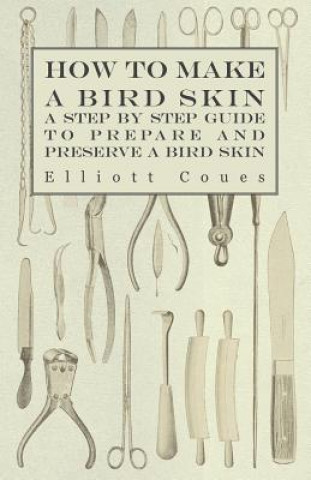 Könyv How to Make a Bird Skin - A Step by Step Guide to Prepare and Preserve a Bird Skin Elliott Coues