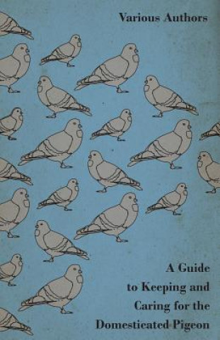 Kniha Guide to Keeping and Caring for the Domesticated Pigeon Various