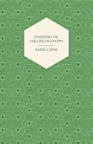 Kniha Dashenka or The Life of a Puppy Karel Capek