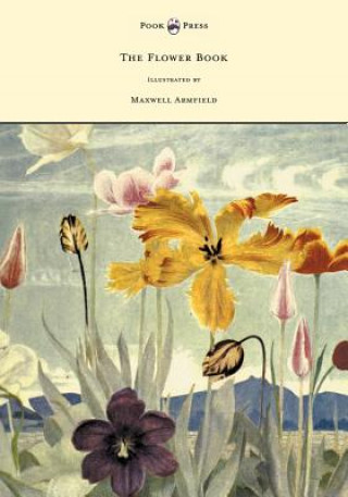Könyv Flower Book - Illustrated by Maxwell Armfield Constance Armfield