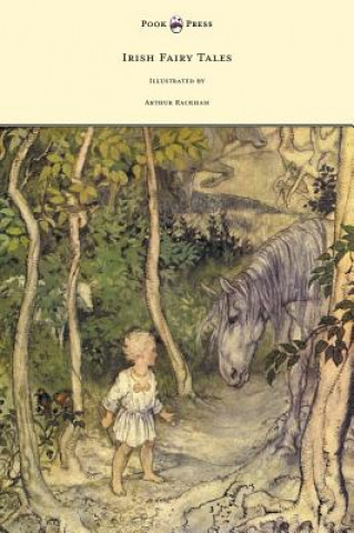 Buch Irish Fairy Tales - Illustrated by Arthur Rackham James Stephens