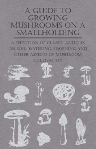 Kniha A Guide to Growing Mushrooms on a Smallholding - Various