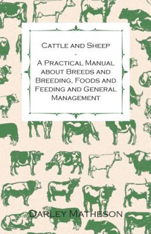 Книга Cattle and Sheep - A Practical Manual About Breeds and Breeding, Foods and Feeding and General Management Darley Matheson