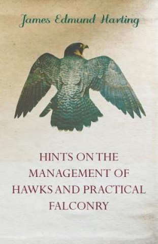 Book Hints on the Management of Hawks and Practical Falconry James Edmund 1841 Harting