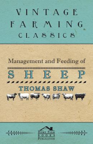 Kniha Management and Feeding of Sheep Thomas Shaw