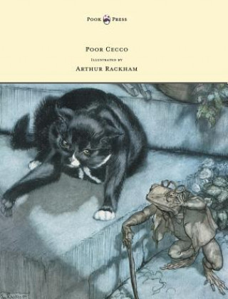 Book Poor Cecco - Illustrated by Arthur Rackham Magery Williams Bianco