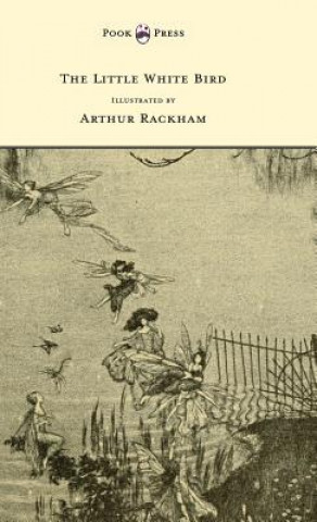 Book Little White Bird - Illustrated by Arthur Rackham J M Barrie