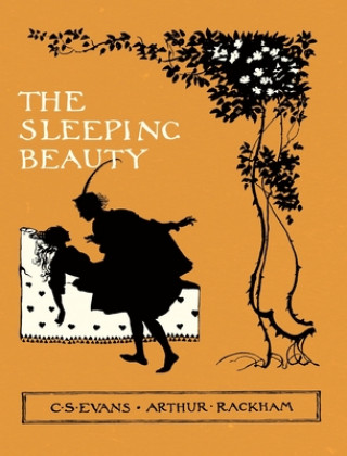 Carte Sleeping Beauty - Illustrated by Arthur Rackham C. S. Evans