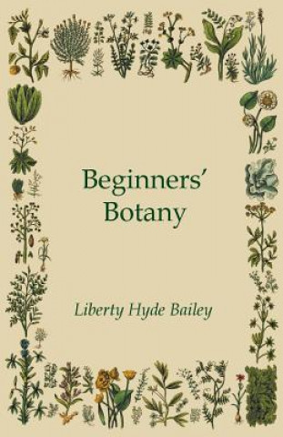 Carte Beginners' Botany Liberty Hyde Bailey