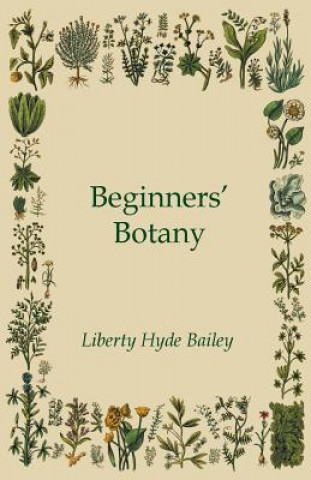 Book Beginners' Botany Liberty Hyde Bailey