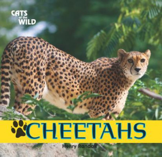 Knjiga Cheetahs Henry Randall